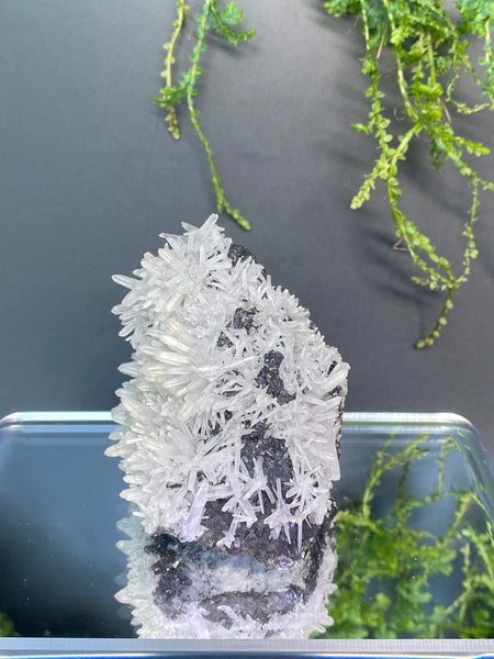 Galena, crystal quartz multi-mineral specimen