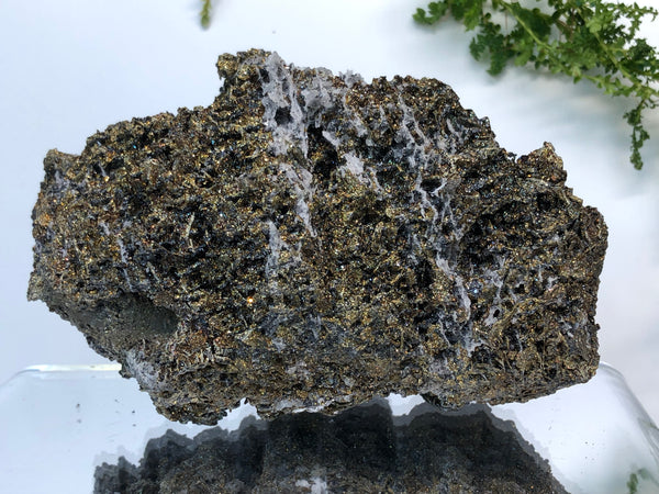 Chalcophyrite crystal mineral