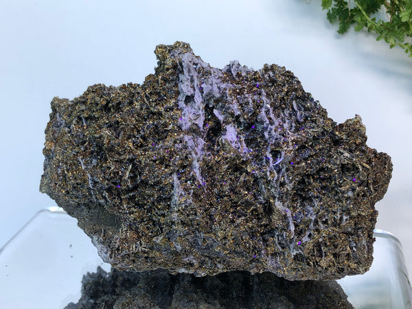 Chalcophyrite crystal mineral
