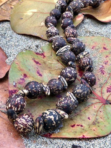 Tagua seeds necklaces