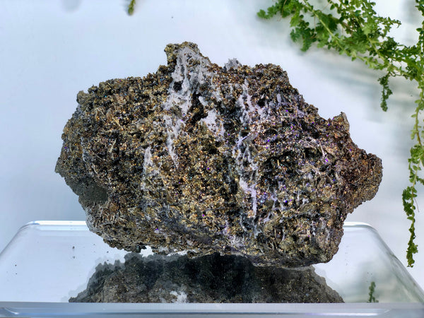Chalcophyrite crystal mineral