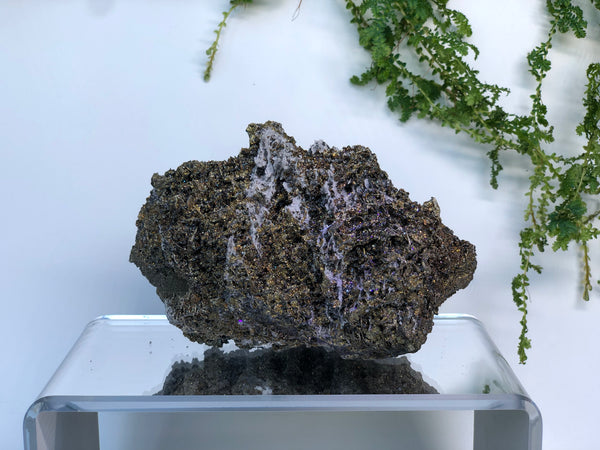 Chalcophyrite crystal mineral