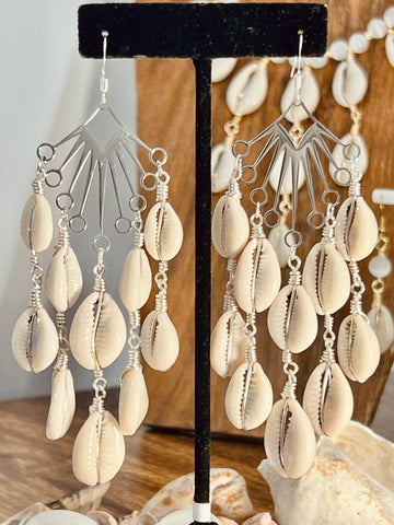 Cowrie shell silver earrings