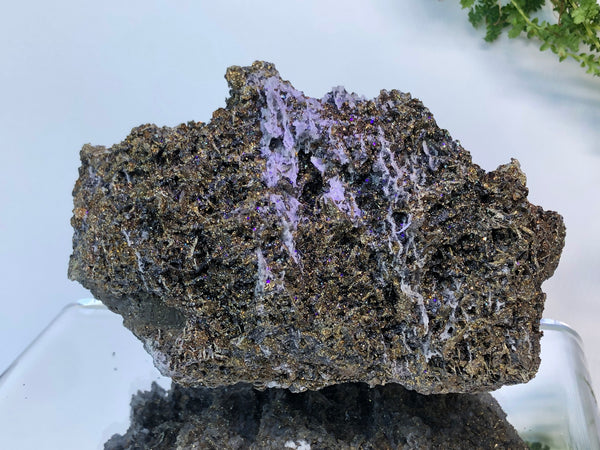 Chalcophyrite crystal mineral