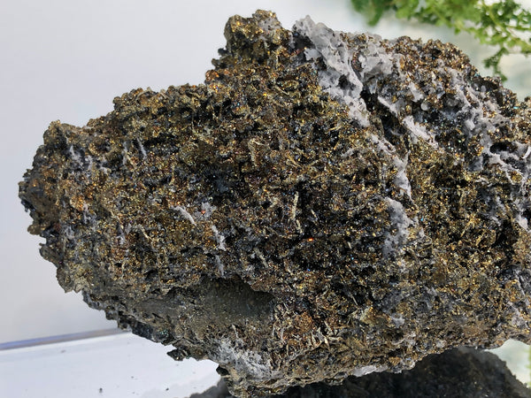 Chalcophyrite crystal mineral
