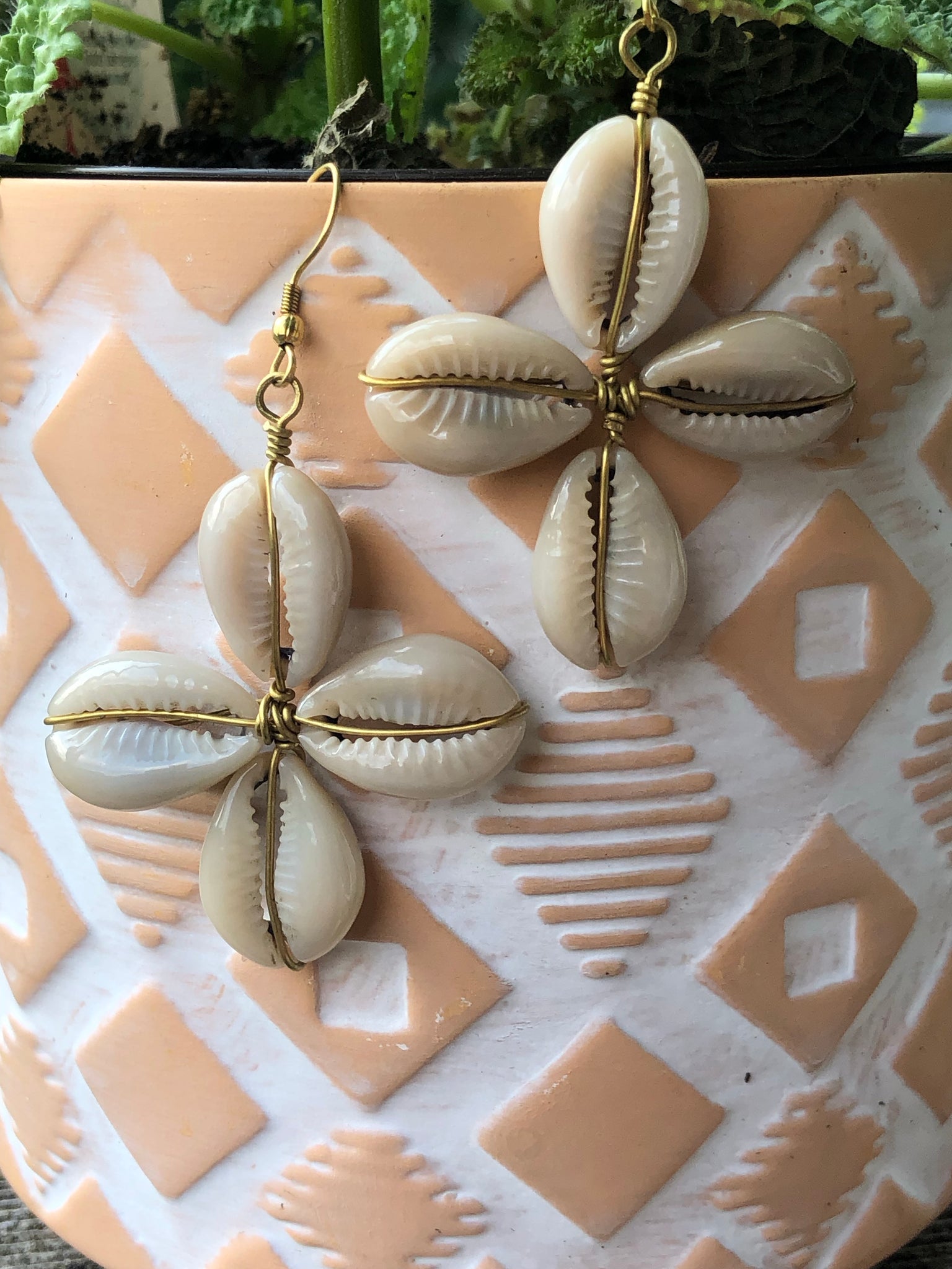 African Crowrie shell earrings